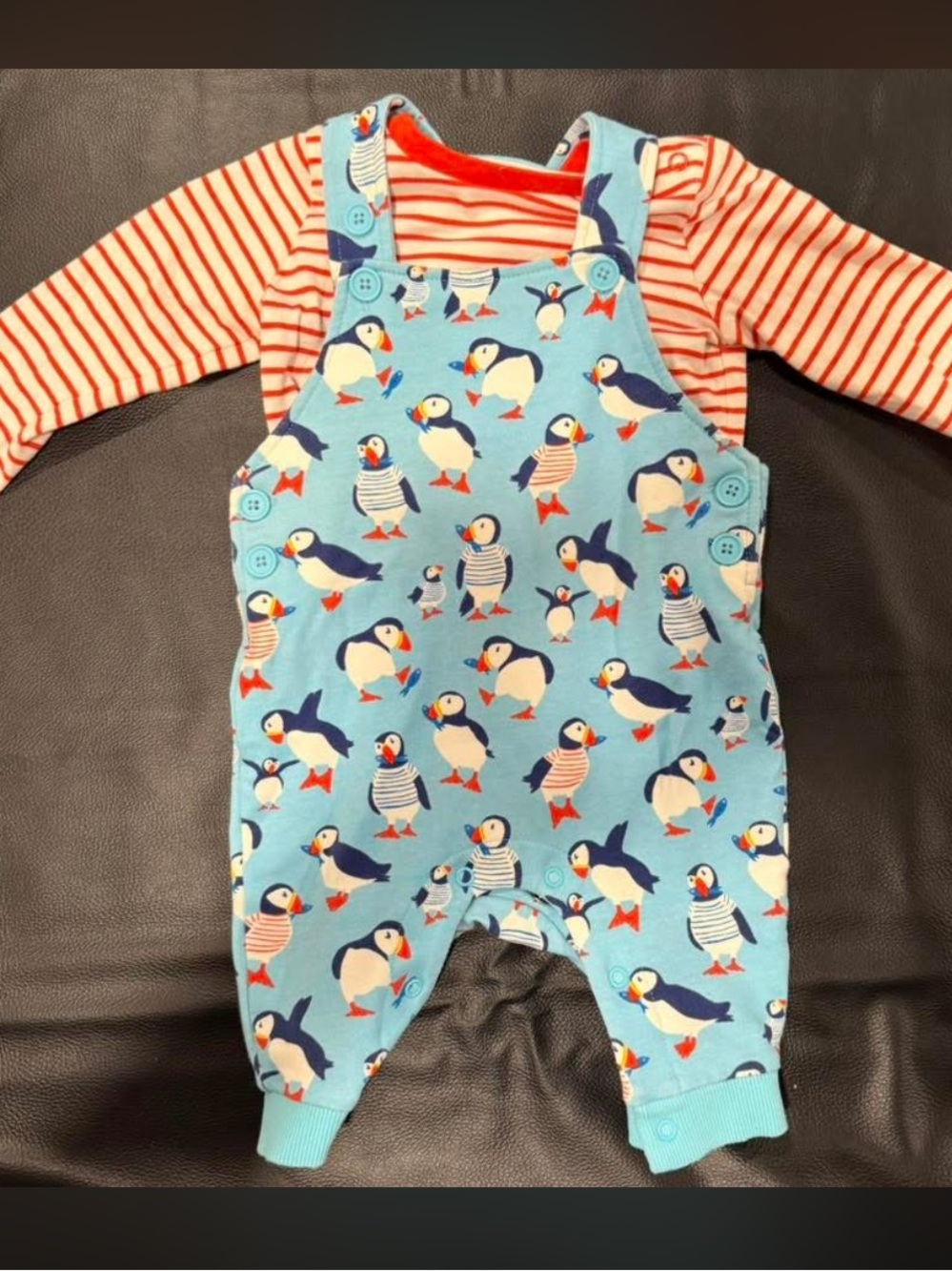 Baby Boden Blue Puffin Print Overalls with Red Striped Top